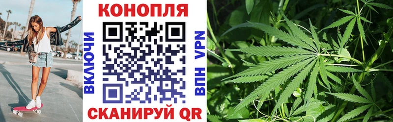 Бошки Шишки Amnesia  ОМГ ОМГ вход  Светлый 